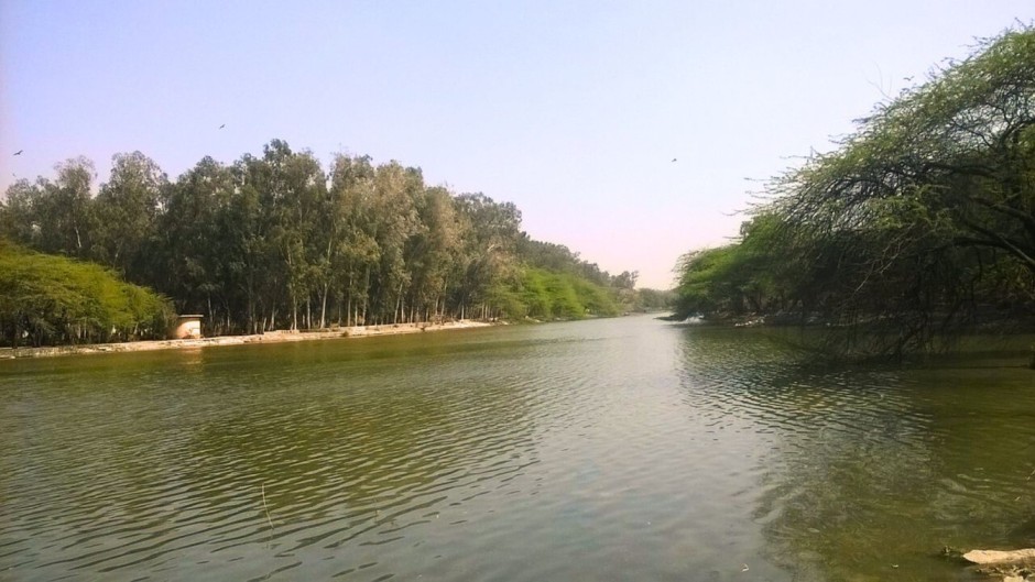 korean-street-food-with-top-tourist-place-near-laxmi-nagar-sanjay-lake